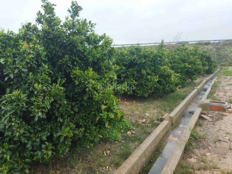 Foto 76c3d527-4191-458c-8d17-3a46ca4968ba. Casale in Bonavista-Lago San Lorenzo Cullera