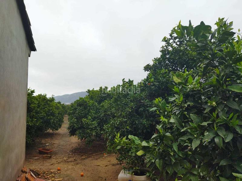 Foto e4417775-80cd-4e59-92b8-6c3c0148c7d3. Casale in Bonavista-Lago San Lorenzo Cullera