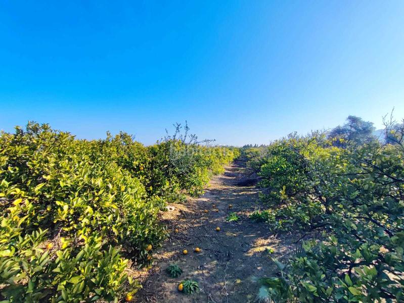 Foto 5e0afb2e-b87a-4c99-b070-4a0b90db27a9. Wohngrundstück in Bonavista-Lago San Lorenzo Cullera