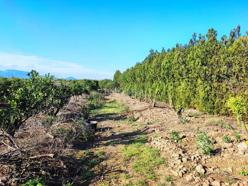 Foto 61893455-bf17-4292-928b-30a77c687702. Wohngrundstück in Bonavista-Lago San Lorenzo Cullera