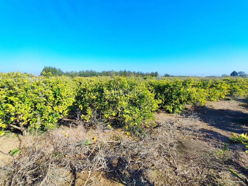 Foto 64c109df-32d1-45b3-a9f7-c03cd89df41e. Wohngrundstück in Bonavista-Lago San Lorenzo Cullera