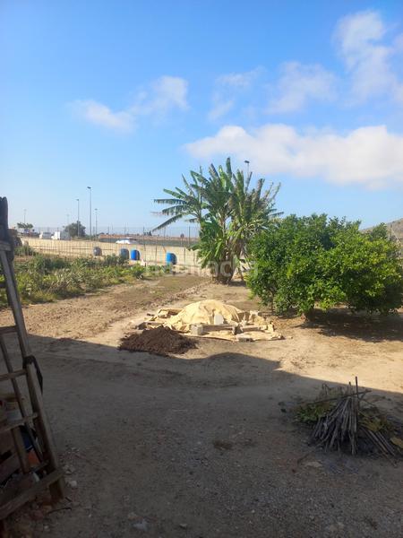 Foto b7fc82b7-0b4b-4ef9-bb78-25274aa1f53f. Casale in Bulevar del Xúquer Cullera