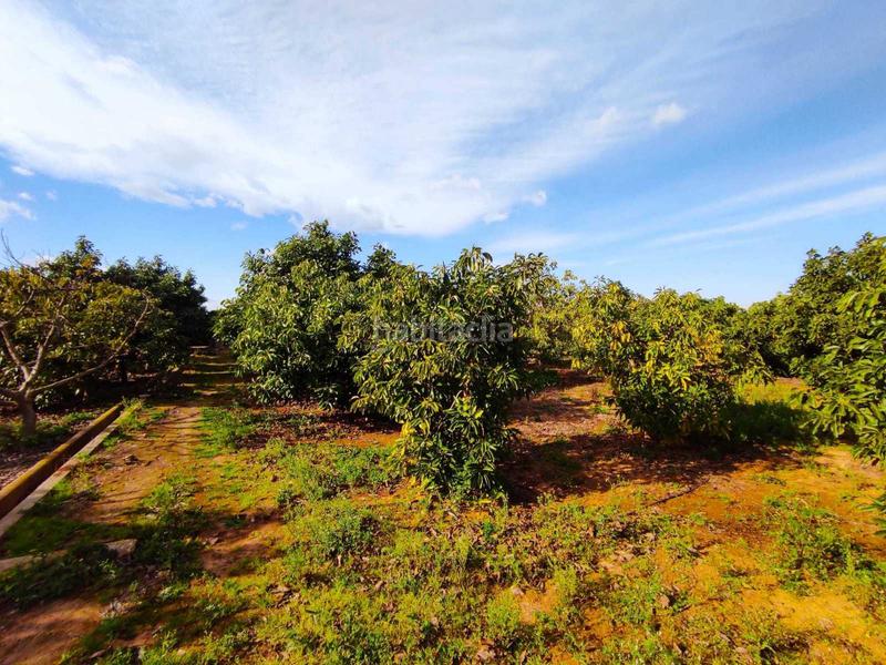 Foto 740a3d4f-3d08-4159-a349-5f77663152b1. Wohngrundstück in Corbera