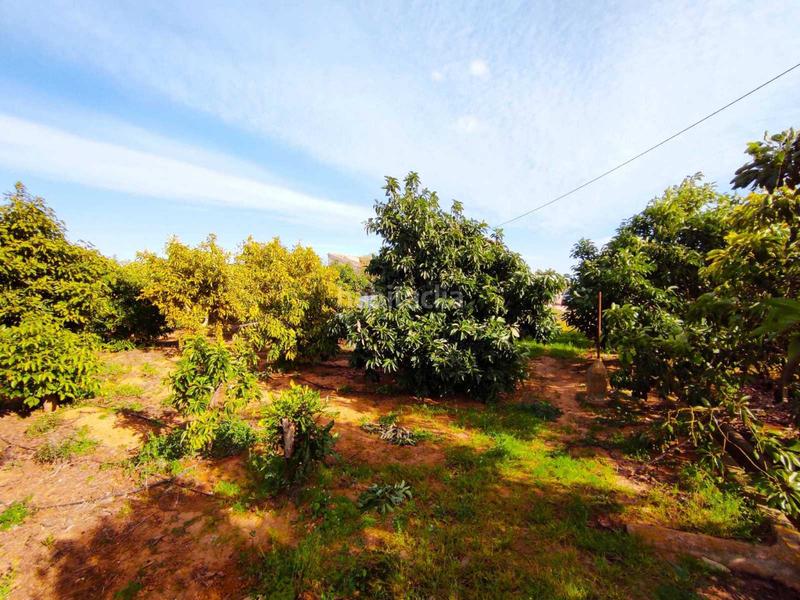 Foto 8b278f0b-5194-414f-ab4f-e12bf2103dff. Wohngrundstück in Corbera