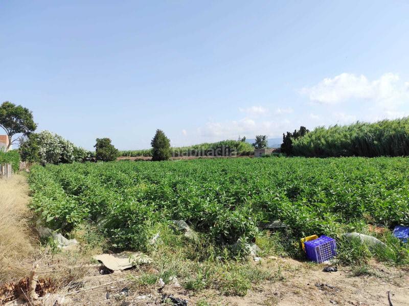 Foto 39870c34-e931-4c62-8b37-56563b4c8278. Terrain résidentiel dans El Marenyet Cullera