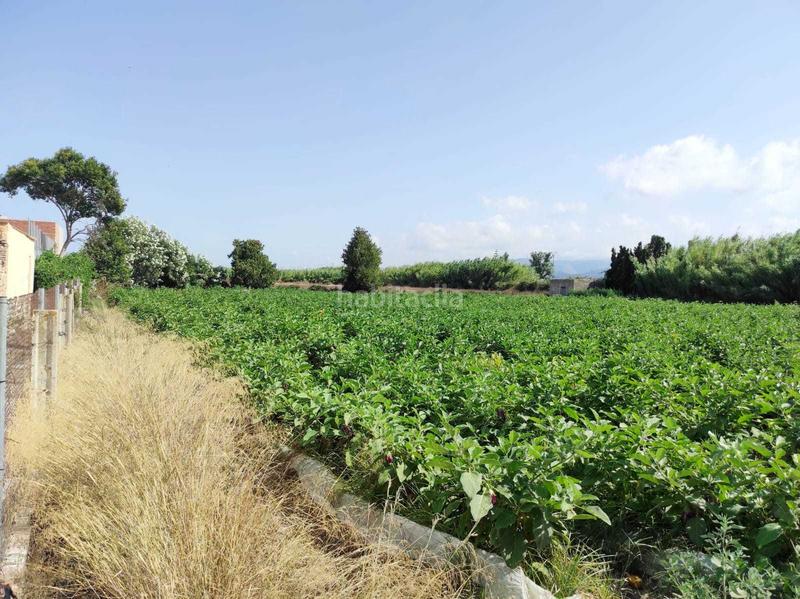 Foto 4a4c5432-472a-4db2-97b0-dc83ffaff5b9. Terrain résidentiel dans El Marenyet Cullera