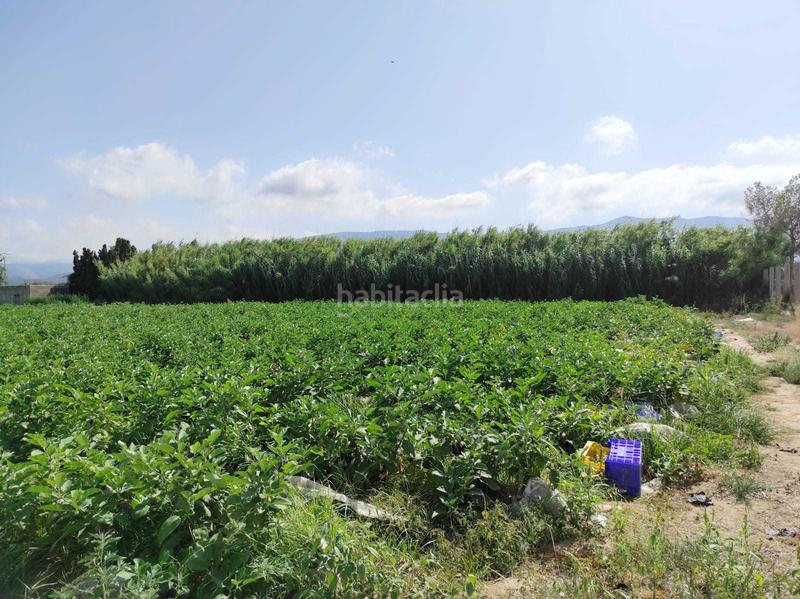 Foto ac9e8a48-cb76-410b-ae4f-a5acafae37f4. Terrain résidentiel dans El Marenyet Cullera