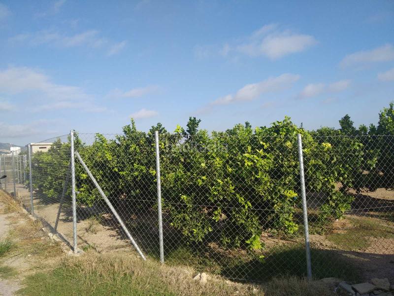 Foto 2f4ee8cf-8dfd-4c7c-bab8-b2cdfa6e2dd6. Wohngrundstück in Favara