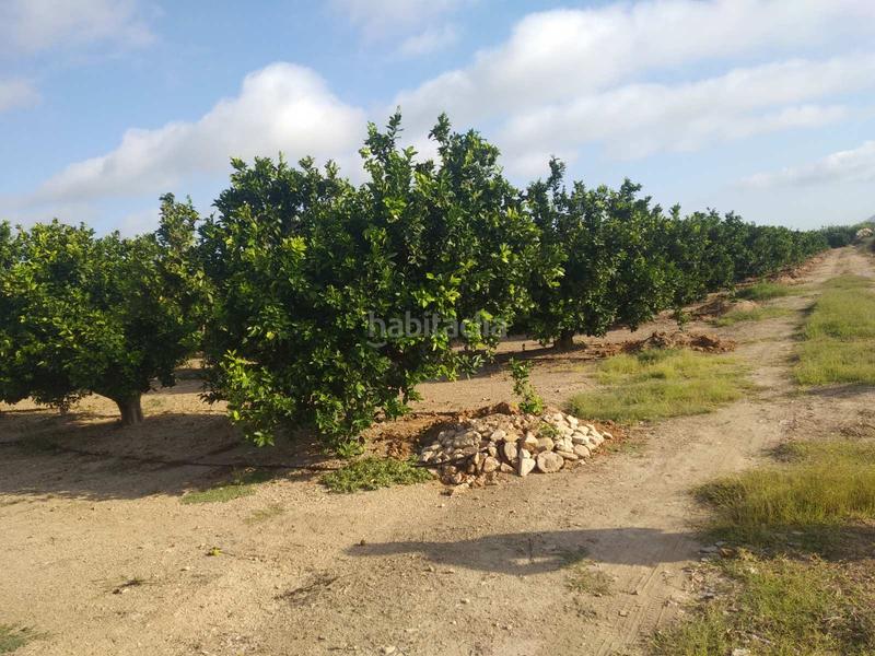 Foto 5002eafd-60bb-4748-afda-bdaa2ee796a9. Wohngrundstück in Favara