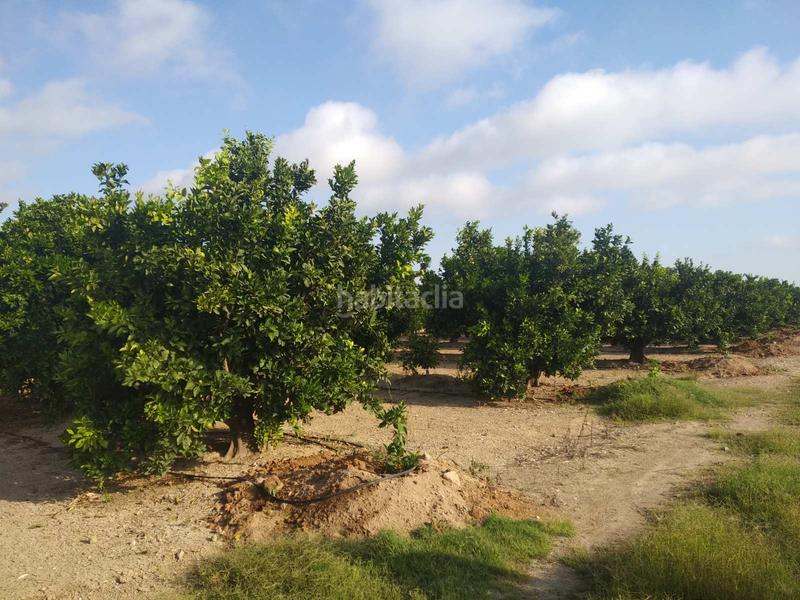 Foto 8b0b9133-db66-4e0e-8bf7-cb56e2de1b7c. Wohngrundstück in Favara