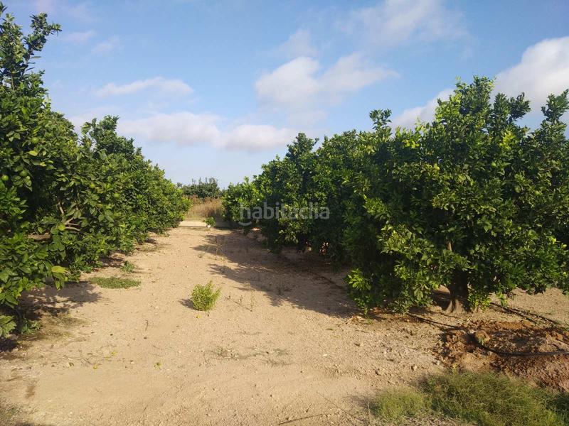 Foto 905be793-8b7b-49a1-bfdb-21039df799f2. Wohngrundstück in Favara