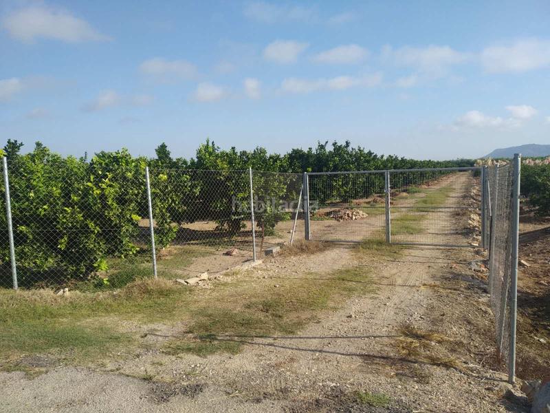 Foto a230e846-03fe-4646-8b40-56fdac467b9d. Wohngrundstück in Favara