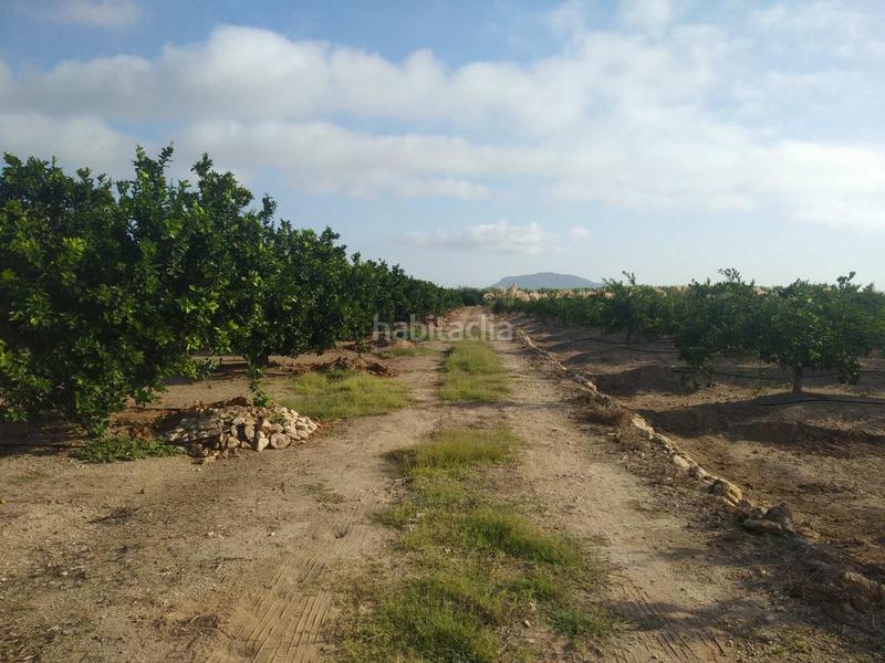 Foto b61a9576-b884-4060-a0f8-deaa5874c671. Wohngrundstück in Favara