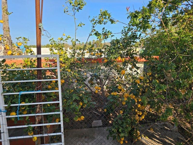 Foto 1fb23f22-8754-4bc1-a6f6-8edf0a051bbd. Masia amb piscina a El Marenyet Cullera