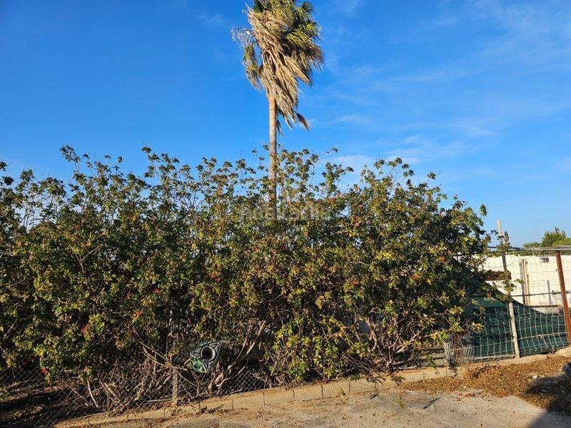 Foto 73b8e1ca-89ce-4caf-9bbf-5d4f1b7404f3. Masia amb piscina a El Marenyet Cullera