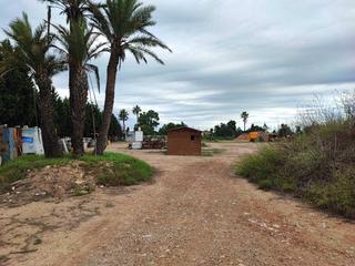 Terreny residencial a Sueca. Parcela situada en sueca, dispone de zona de árboles frutales y