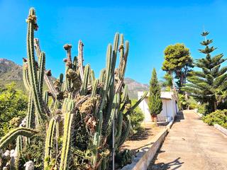 Mas à Tavernes de la Valldigna. A la venta en tavernes de la valldigna terreno de 20.000 m2 de s