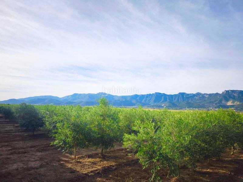 Foto f0d33ac2-5d1a-4979-b593-063f37362e30. Terreny residencial a Fortaleny