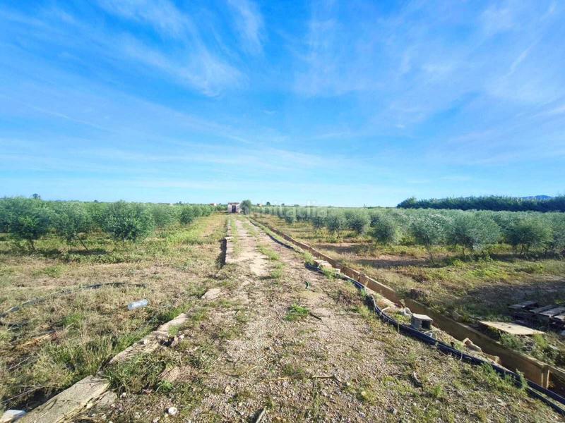 Foto 06c51d9b-ae90-4c8f-afd0-fb37f3b0fa20. Terreny residencial a Fortaleny