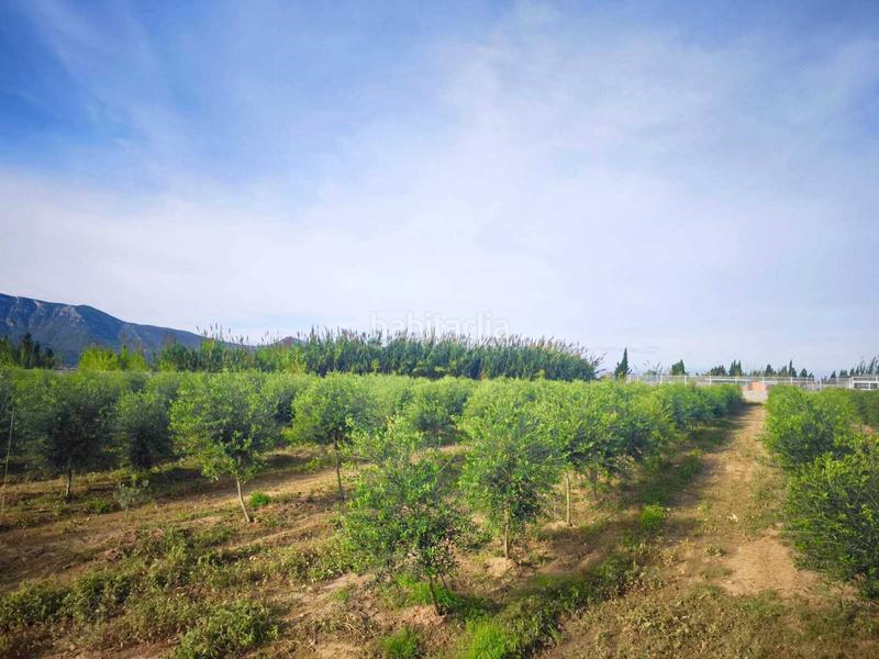 Foto 3079fb62-b16d-4e88-87b3-adc19dc54a46. Terreny residencial a Fortaleny