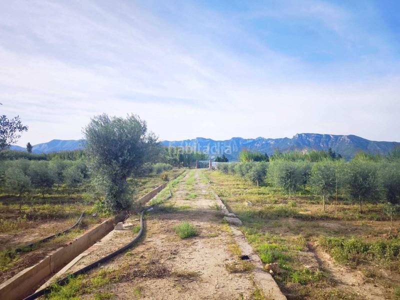 Foto 3d98c469-802f-45f9-8ed8-48cb3fd96b7d. Terreny residencial a Fortaleny