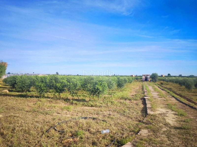 Foto 431ba748-011a-4c22-b2f8-d32b5909f76b. Terreny residencial a Fortaleny