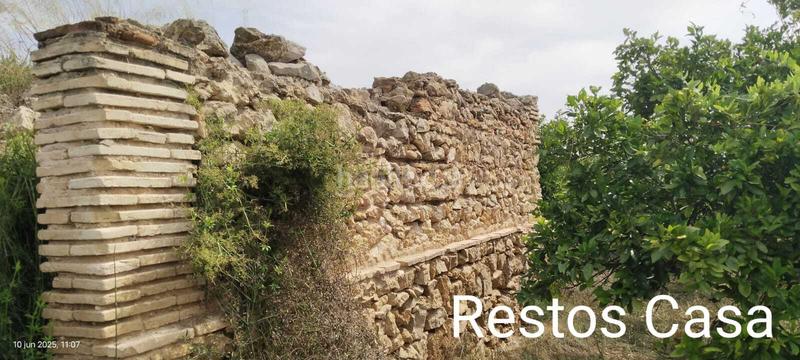 Foto 31ce43b7-255c-4271-bf07-c800bd3f0d5b. Residential plot in Polinyà de Xúquer