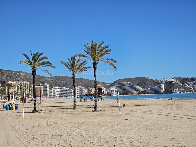 Foto e14a65b7-3e11-4bda-878d-9fa18ad4b8be. Pis a Sant Antoni Cullera