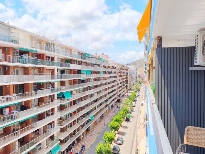 Foto 22f455b2-1105-4c73-bd86-d351d62107c6. Pis a Sant Antoni Cullera