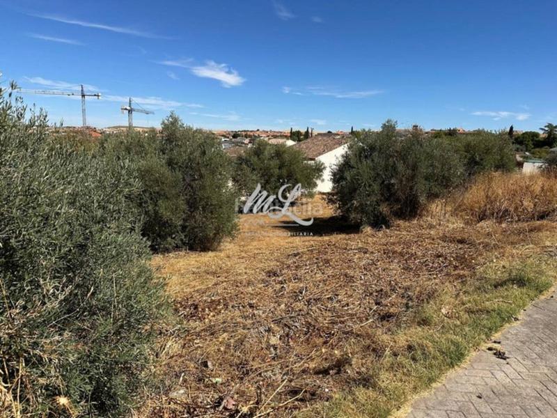 Foto 54bee159-c55b-4d62-89d8-c1661e3b4c30. Terreno residencial se venden varias parcelas en Argés