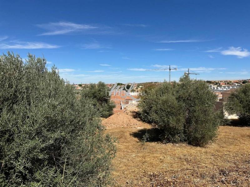 Foto 95d4705e-d524-4f01-92a7-a68fa995cb3d. Terreno residencial se venden varias parcelas en Argés
