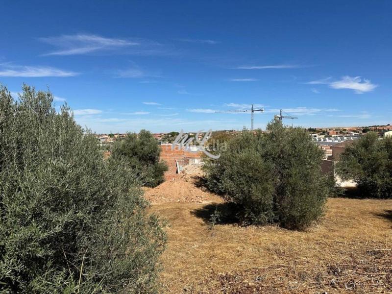 Foto f9aa7890-e134-44de-889e-2459b316f704. Terreno residencial se venden varias parcelas en Argés