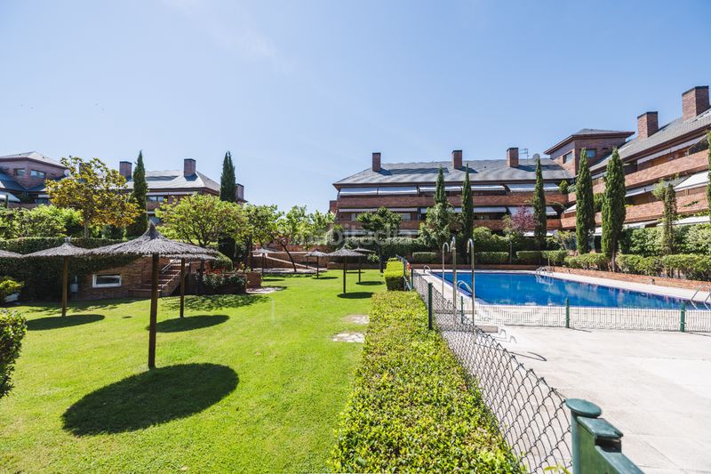Foto b57ab67c-c931-47c2-8325-a2387f7afb3e. Pis amb calefacció piscina a El Pinar-Punta Galea Rozas de Madrid (Las)