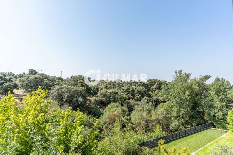 Foto 51245560-7397-4266-8384-a97c361f1f79. Xalet amb calefacció aparcament piscina a El Pinar-Punta Galea Rozas de Madrid (Las)