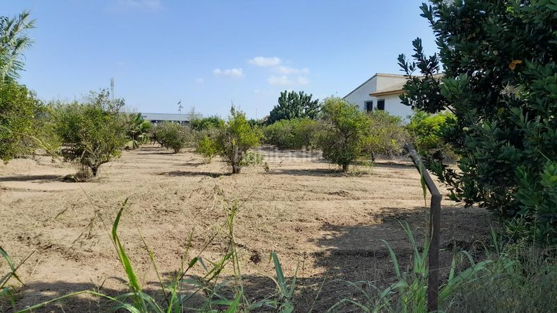 Foto e1585edf-ffe1-46a7-b244-f8867fef611a. Casa amb aparcament piscina a Benejúzar