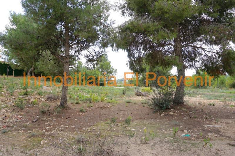 Foto 80b749e9-d355-45ea-b25d-baa311e2b103. Terreno residencial en El Vedat - Santa Apolonia Torrent