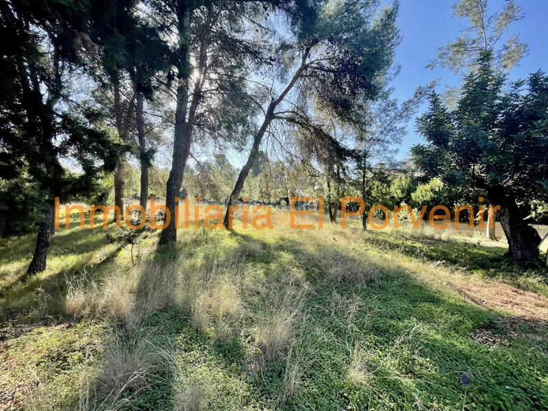 Foto 03106926-d80a-4b39-bf1c-62dc3e1e9ed2. Terreno residencial en El Vedat - Santa Apolonia Torrent