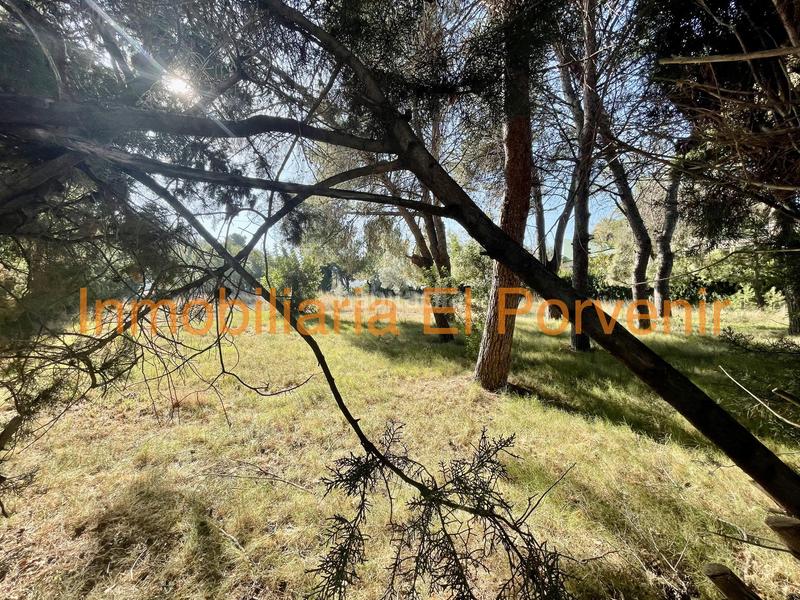 Foto 5bd9f773-b311-4707-89eb-b110a890a343. Residential plot in El Vedat - Santa Apolonia Torrent