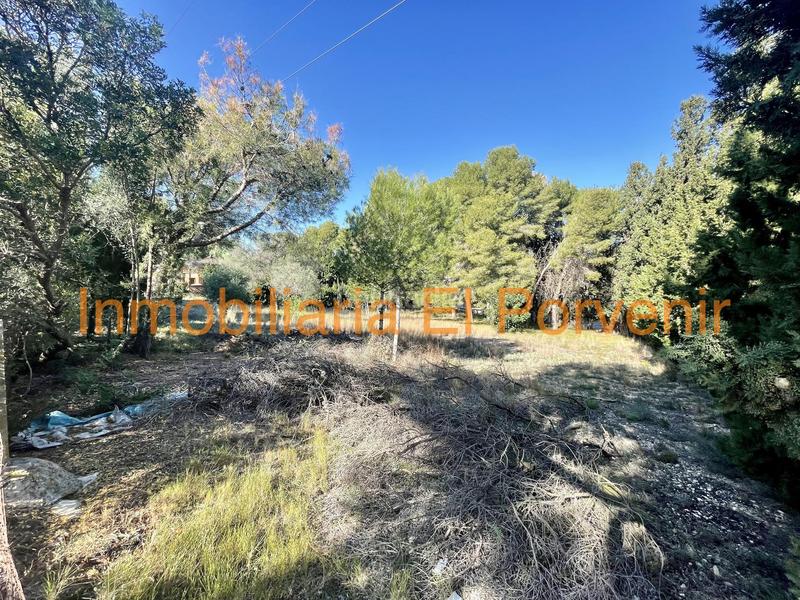 Foto d07a5650-0c43-487d-9bb1-b30fa1e3074c. Terreno residenziale in El Vedat - Santa Apolonia Torrent