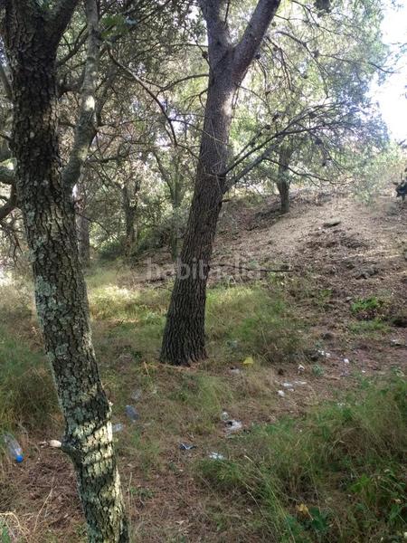 Foto 41678db7-dca6-45b6-89d7-e67285adf48f. Terreno residenziale in Maspujols