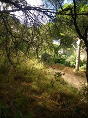 Terreno residenziale  Rocabruna