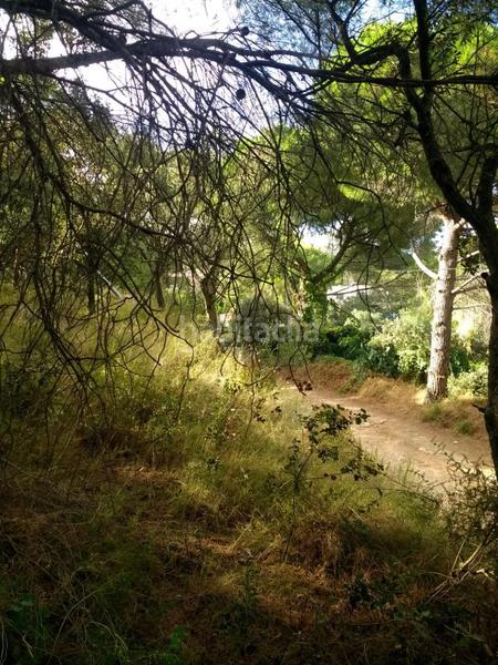 Foto 800c48da-1539-46f1-95d4-bd028d73f19b. Terreno residenziale in Maspujols