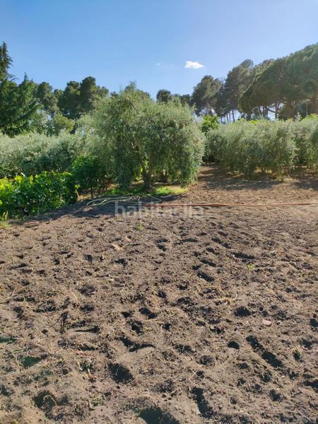 Foto 8afb3299-d4c3-41b3-a42b-d67d6b4b08fc. Terreny residencial a Alforja