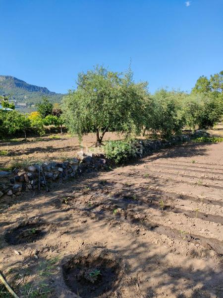 Foto 9de06c00-b854-4c6b-bd79-f14c36ad4d08. Terreny residencial a Alforja