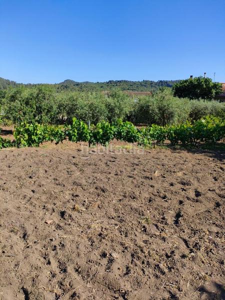 Foto 5921b2d4-87d1-48bb-8cf4-77634d09d1cc. Terreno residenziale in Alforja