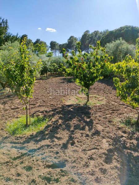 Foto 64870c45-6aeb-48fe-afb9-3e0040a2632a. Terreno residenziale in Alforja