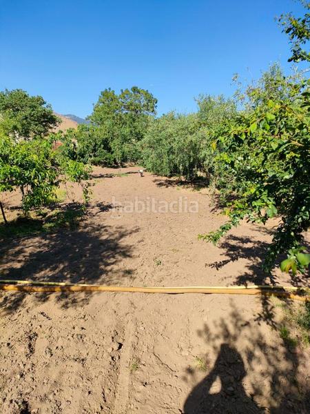 Foto a1cfa409-d92d-40a2-bd0a-8ecfc1ad83c0. Terreno residenziale in Alforja