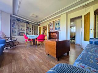 Alquiler Piso en El Raval - Portes Encarnades. Amplio y luminoso piso en elche con vistas a huerto de palmeras