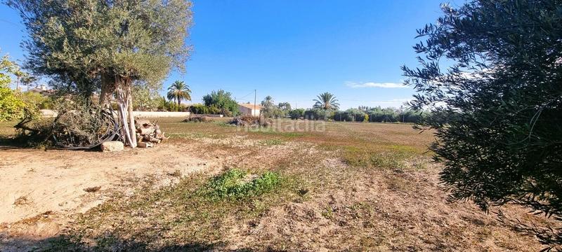 Foto f0e1acc9-394f-4548-a4c9-5ca8267347c8. Terreny residencial a La Algoda - Matola - Llano de San José Elche / Elx