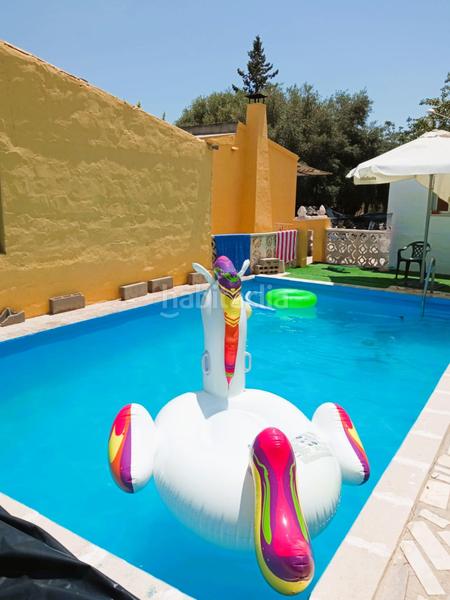 Foto f2a27137-7fe4-4589-b259-ade92e89be9e. Terreny residencial a La Algoda - Matola - Llano de San José Elche / Elx